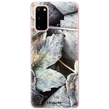 iSaprio Old Leaves 01 pro Samsung Galaxy S20 (oldle01-TPU2_S20)