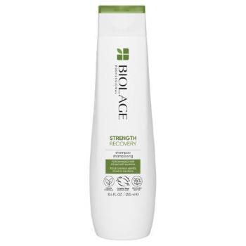 Biolage Strength Recovery Shampoo 250 ml šampon pro ženy na poškozené vlasy