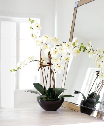 Umělá orchidej modern