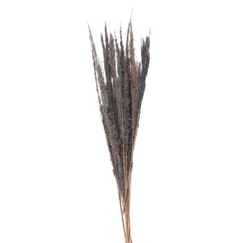 Přírodní šedá kytice sušené květy trávy - 100 cm (10ks) 5DF0035
