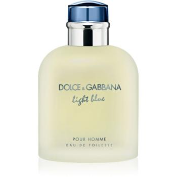 Dolce & Gabbana Light Blue Pour Homme toaletní voda pro muže 125 ml