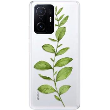 iSaprio Green Plant 01 pro Xiaomi 11T / 11T Pro (grpla01-TPU3-Mi11Tp)