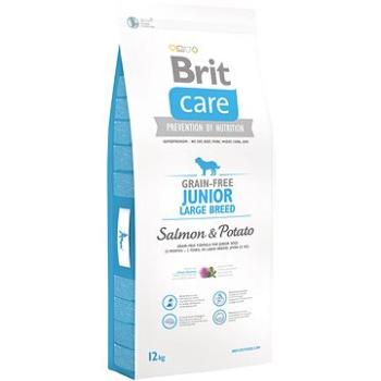 Brit Care grain-free junior large breed salmon & potato 12 kg (8595602510092)