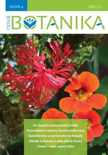 Nová Botanika - Botanica Nova, z.s. a kolektiv autorů - e-kniha