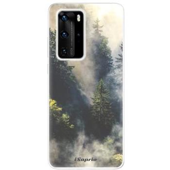 iSaprio Forrest 01 pro Huawei P40 Pro (forrest01-TPU3_P40pro)