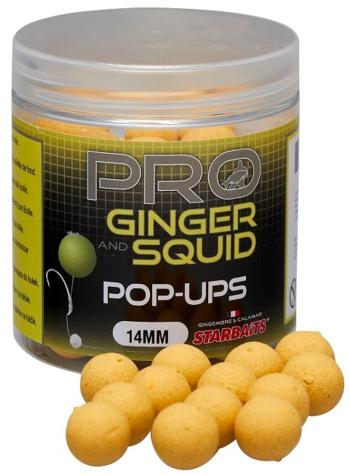 Starbaits Plovoucí boilies Pop Up Pro Ginger Squid 50g