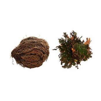 Lucky Reptile Rose of Jericho 50 g (4040483642102)