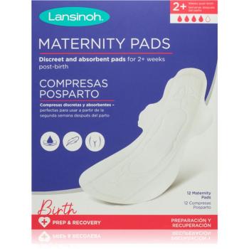 Lansinoh Maternity Pads 2 weeks+ porodnické vložky 12 ks