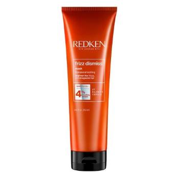 Redken Frizz Dismiss Intense Smoothing 250 ml maska na vlasy pro ženy na suché vlasy; na nepoddajné vlasy