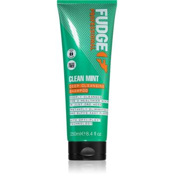 Fudge Clean Mint Shampoo šampon na mastné vlasy 250 ml