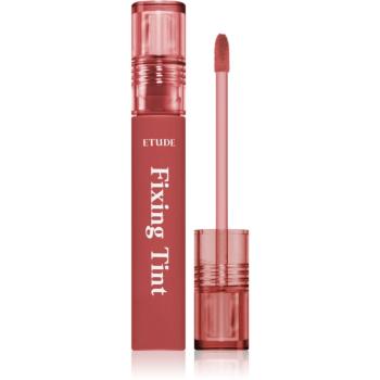 ETUDE Fixing Tint dlouhotrvající rtěnka s matným efektem odstín #06 Soft Walnut 4 g