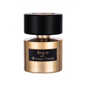 Tiziana Terenzi Anniversary Collection Bigia 100 ml parfém unisex
