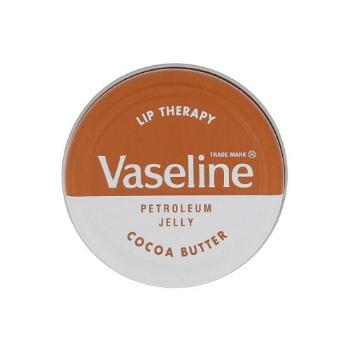 Vaseline Lip Therapy Cocoa Butter 20 g balzám na rty pro ženy