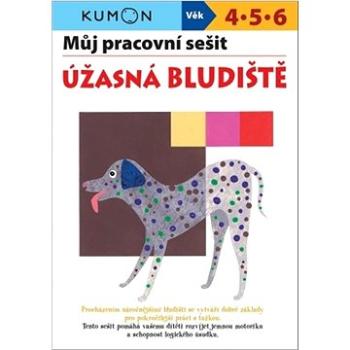 Můj pracovní sešit Úžasná bludiště (978-80-256-2887-4)