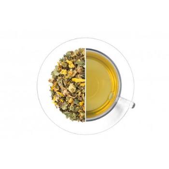 Oxalis Večerní čaj, 1000