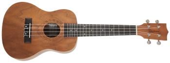 Tanglewood TWT 3