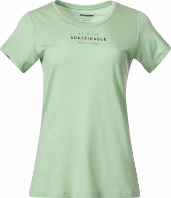 Bergans Graphic Wool Tee Women Light Jade Green/Chianti Red XS Tričko