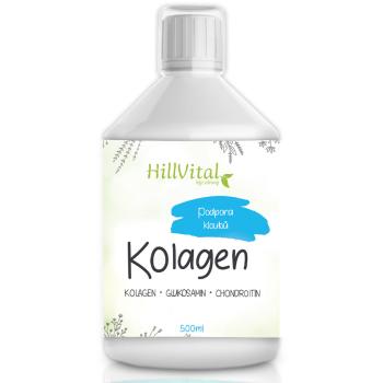 HillVital | Kloubní výživa Kolagen - podpora kloubů, 500 ml