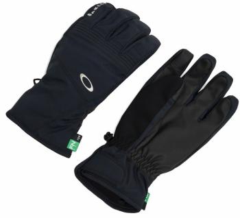 Oakley Roundhouse Short Glove 2.5 Blackout XS Lyžařské rukavice