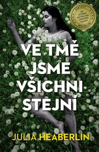 Ve tmě jsme všichni stejní - Julia Heaberlin