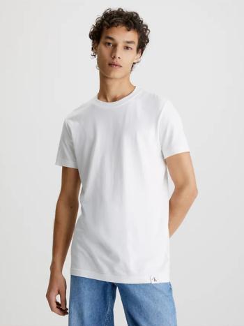 Calvin Klein pánské bílé tričko LOGO TAB - M (YAF)