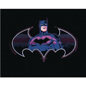 Zuty - Batman v odstínech fialové, 40×50 cm (HRAwlmal73nad)