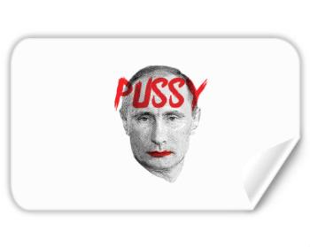 Samolepky obdelník - 5 kusů Pussy Putin