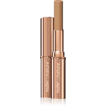 Nude by Nature Flawless dlouhotrvající korektor odstín 06 Natural Beige 2,5 g