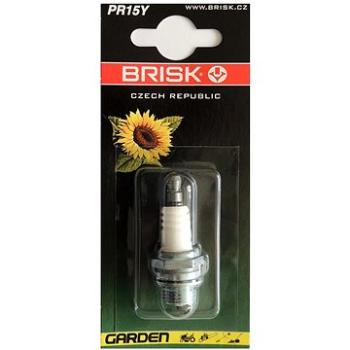 PR15Y zapalovací svíčka BRISK (PR15Y)