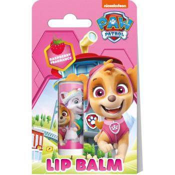 Nickelodeon Paw Patrol Lip Balm balzám na rty pro děti Raspberry 4,4 g