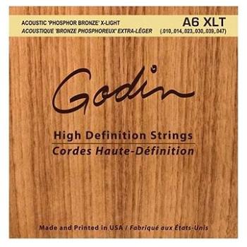 GODIN Strings Acoustic Guitar XLT (HN161503)