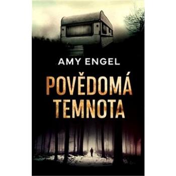 Povědomá temnota (978-80-7593-193-1)