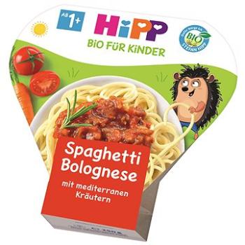HiPP BIO Boloňské špagety 6× 250 g (4062300255067)