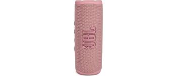 JBL Flip 6 Pink