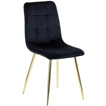 Židle CN-6004 židle černá zlatý rám (Stema_5903917404761)