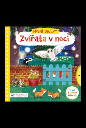 PRVNÍ OBJEVY - Zvířata v noci Jenny Wren - Jenny Wren