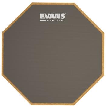 Evans RF6GM