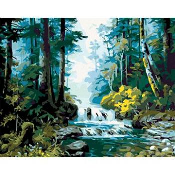 Malování podle čísel - Lesní potok (HRAmal00445nad)