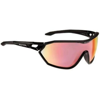 Alpina Sports S-WAY QV Fotochromatické brýle, černá, velikost UNI