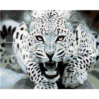 Malování podle čísel - Černobílý leopard (HRAmal00166nad)