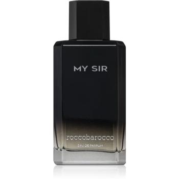 Roccobarocco My Sir parfémovaná voda pro muže 100 ml