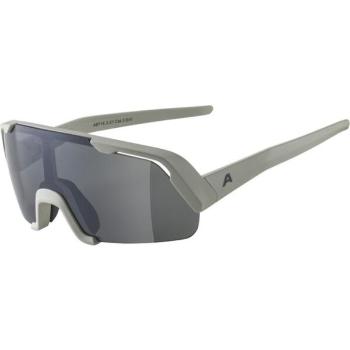 Alpina Sports ROCKET YOUTH Sluneční brýle, šedá, velikost UNI
