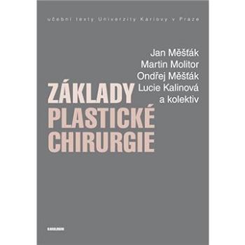 Základy plastické chirurgie (9788024628745)