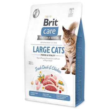 BRIT Care Cat Grain-Free Large cats Power & Vitality 2 kg