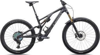 Specialized S-Works Stumpjumper EVO - carb/blklqdmet/lmstn S1