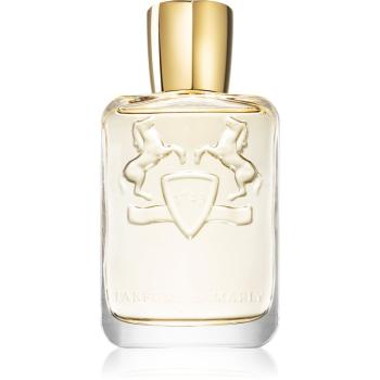 Parfums De Marly Darley parfémovaná voda pro muže 125 ml