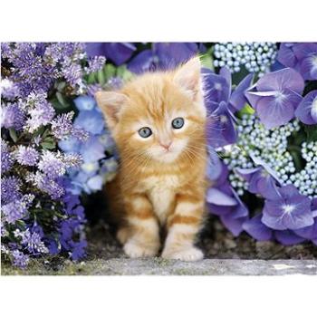 Clementoni Puzzle Zrzavé kotě v květinách 500 dílků (8005125304158)