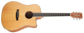 Tanglewood TW10 E