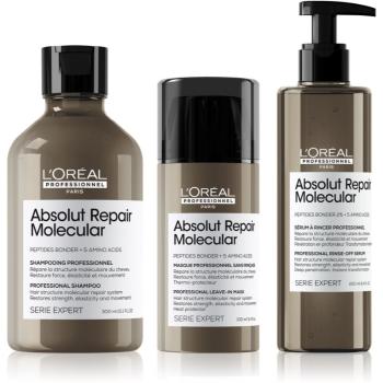 L’Oréal Professionnel Serie Expert Absolut Repair Molecular výhodné balení (pro poškozené vlasy)