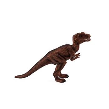 Mojo - Tyrannosaurus Rex mládě (5031923871922)
